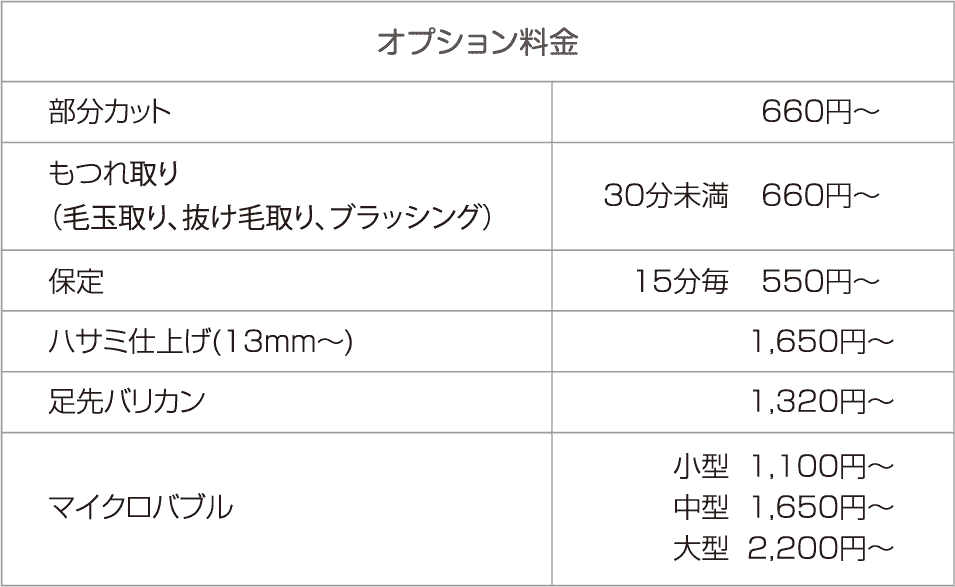 オプション
